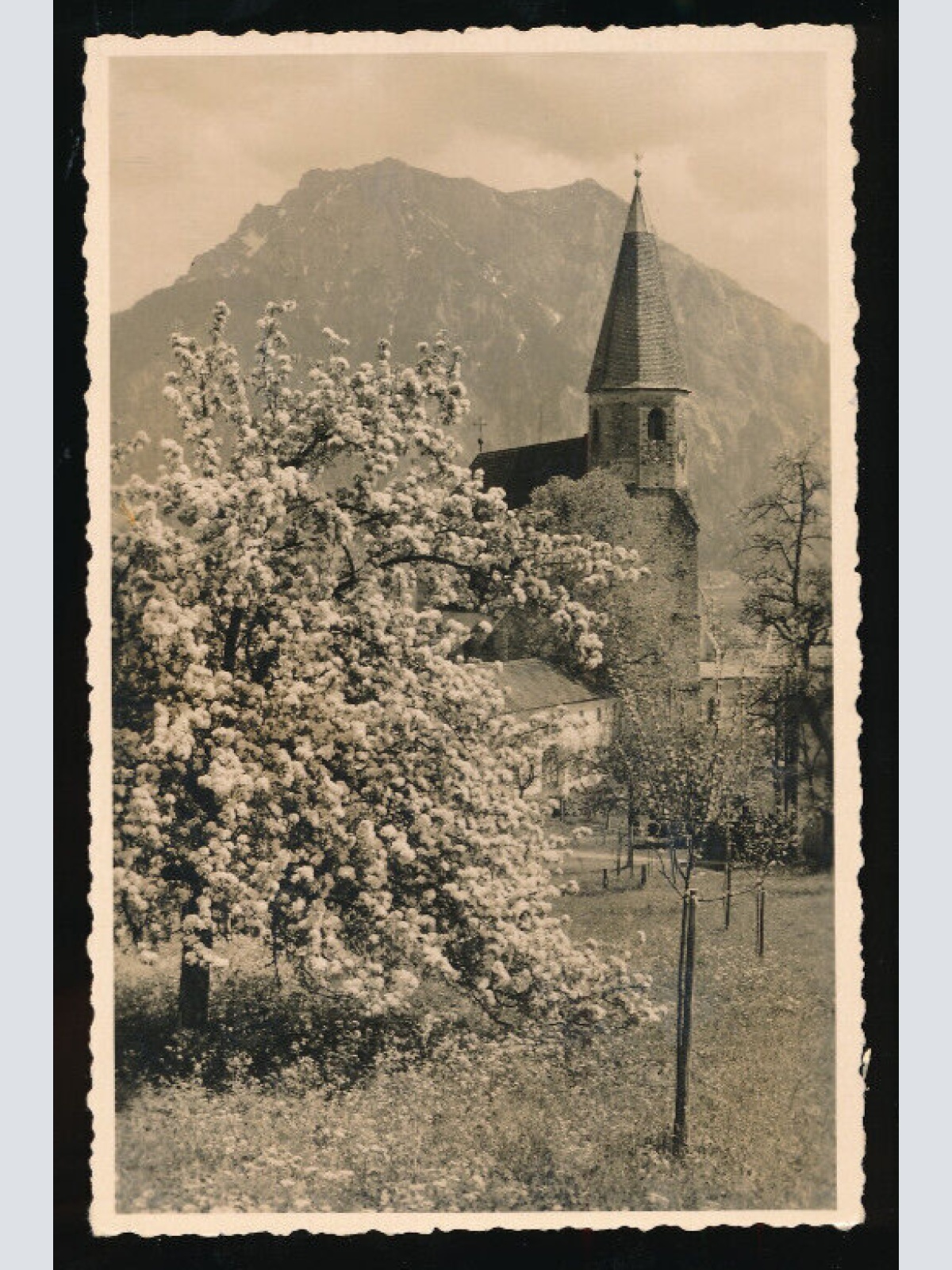 AK aus Altmünster mit Traunstein Oberösterreich (822)