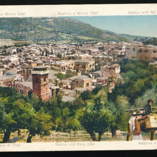 AK aus Nablus Stadtansicht mit Mann auf Esel Israel (813)