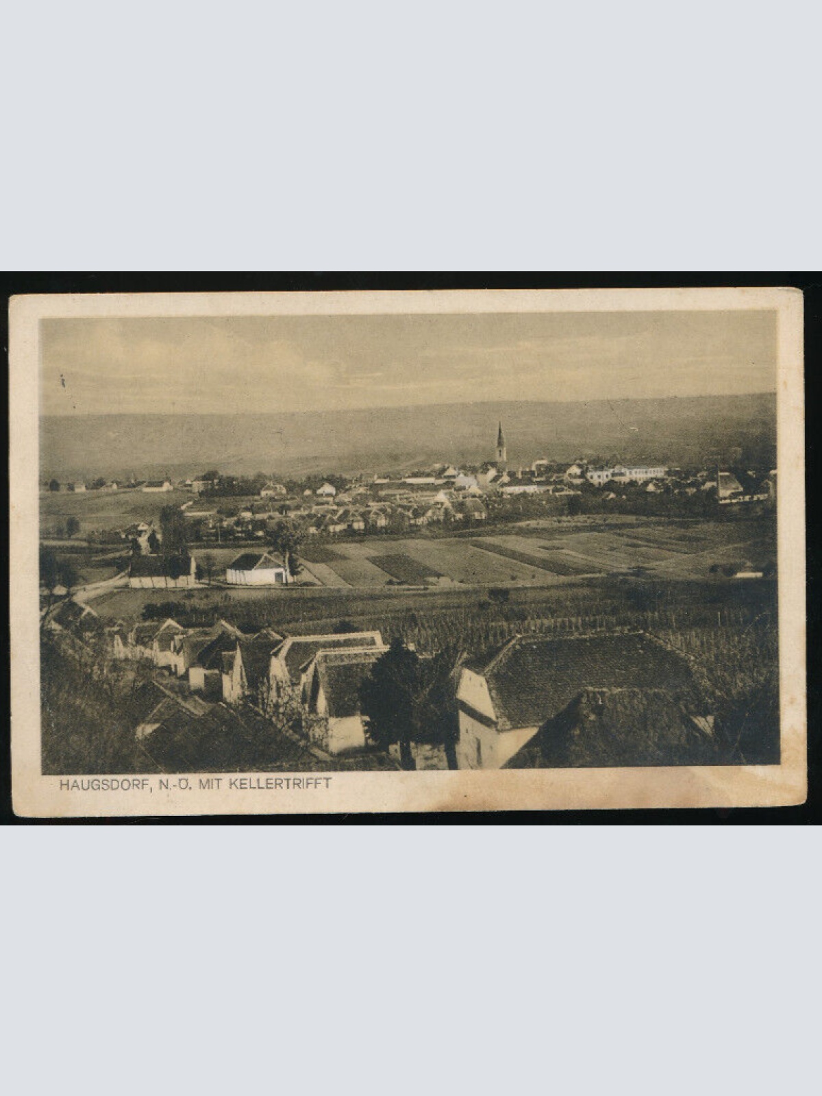 AK aus Haugsdorf mit Kellertrifft Niederöstereich (773)