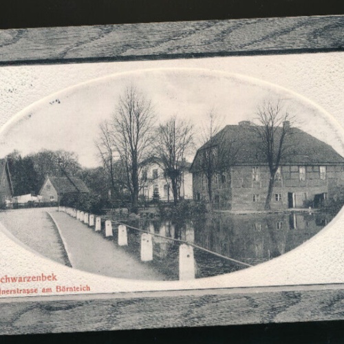 AK aus Schwarzenbek Möllnerstrasse am Börnteich Schleswig-Holstein (1622)