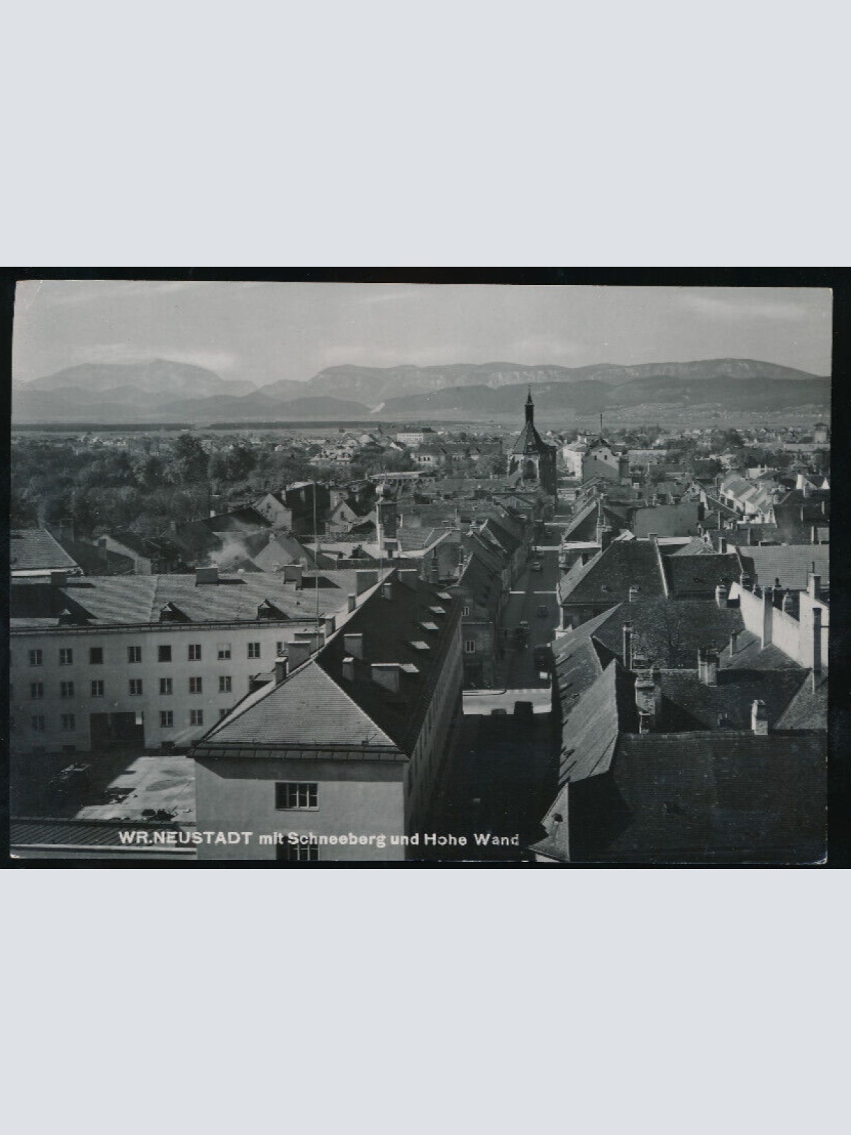 AK aus Wr. Neustadt mit Schneeberg Niederösterreich (1330)