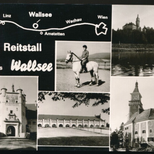 AK vom Wallsee mit Reitstall Mehrbildkarte Niederösterreich (2360)