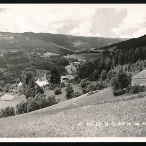AK aus St.Peter bei Aspang Niederösterreich (2359)