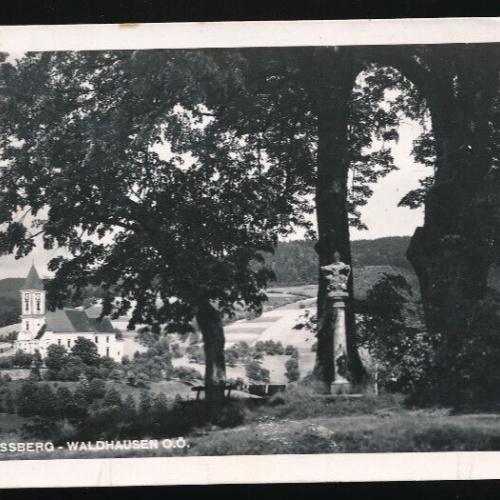 AK aus Waldhausen Schlossberg Oberösterreich (2301)