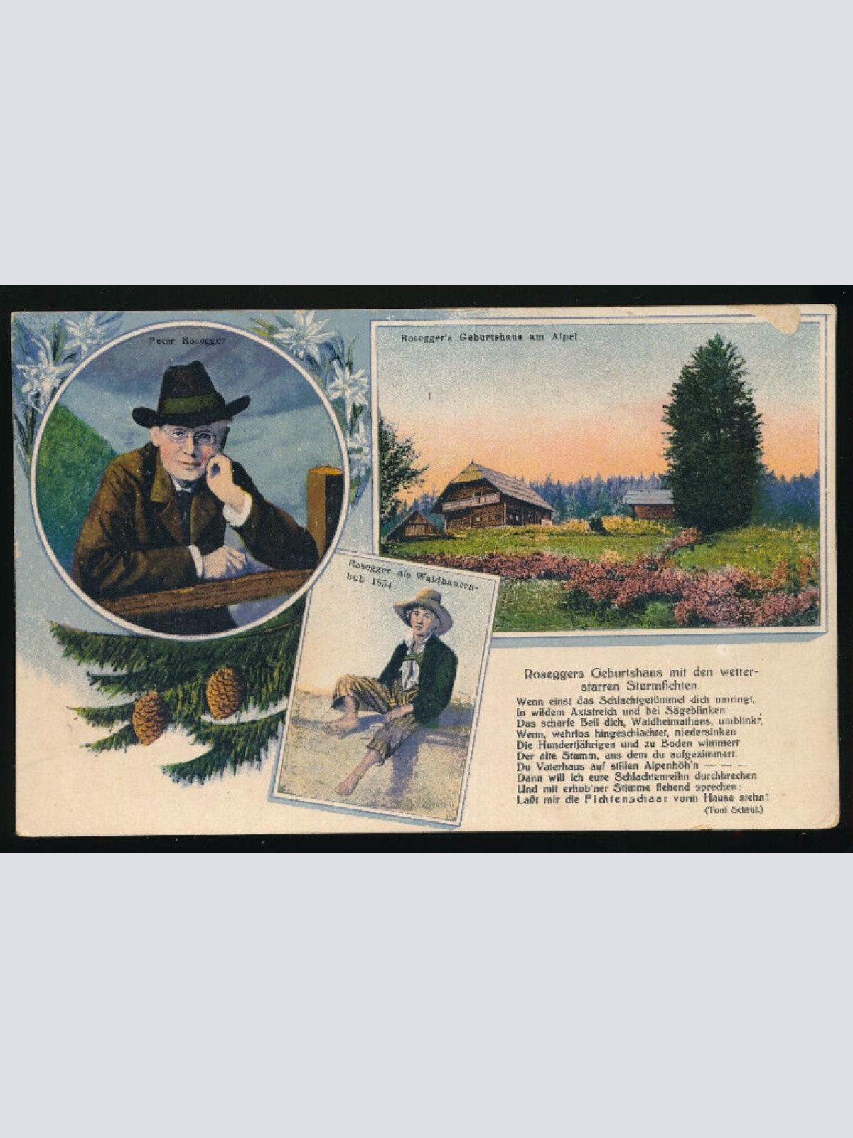 AK aus Krieglach Roseggers Geburtshaus am Alpel Steiermark (2778)