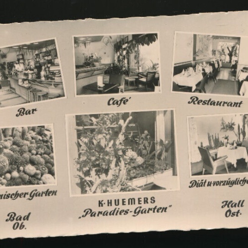 AK aus Bad Hall Botanischer Garten Oberösterreich (2650)