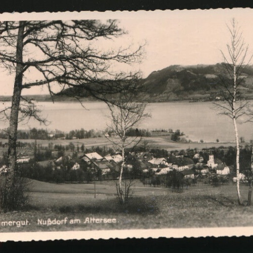 AK aus Nußdorf am Attersee Oberösterreich (2903)