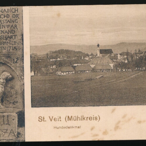 AK aus St.Veit mit Hundedenkmal Oberösterreich (3350)