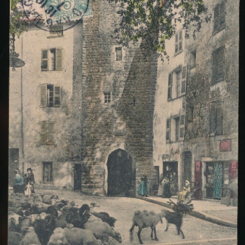 AK aus Draguignan Place el porte Portaiguiere mit Schafen Frankreich (3285)