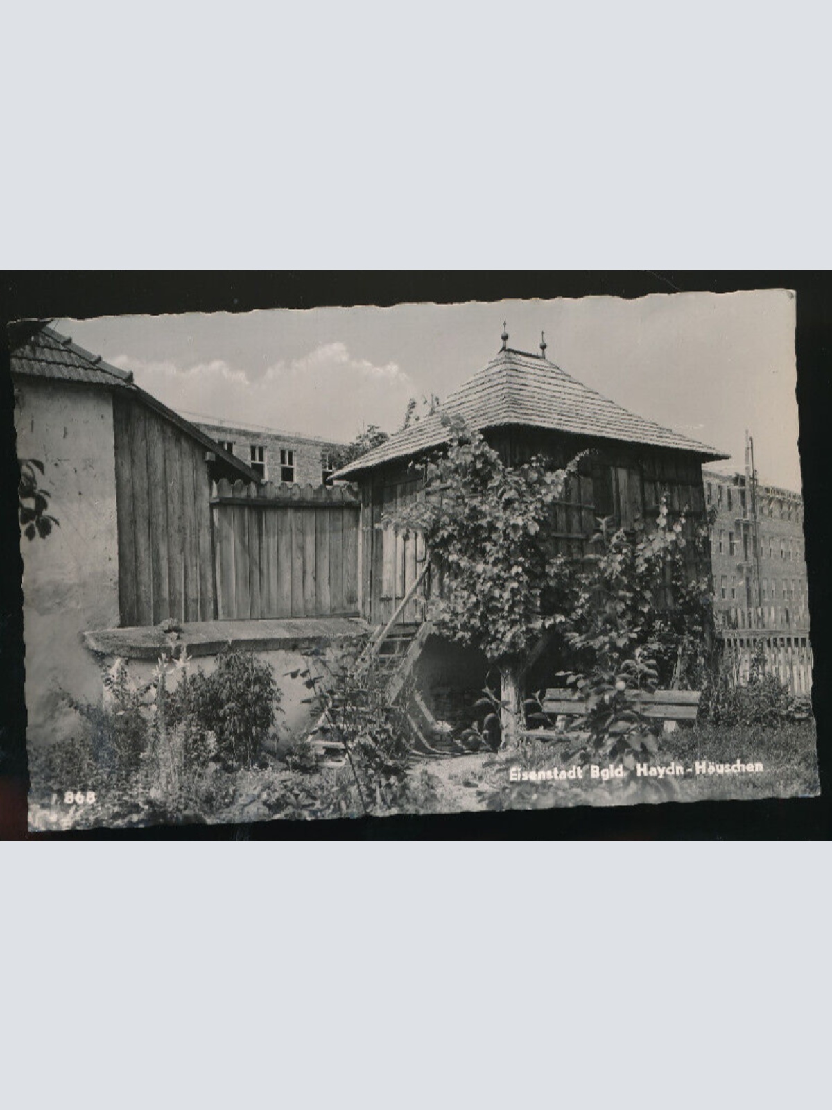 AK aus Eisenstadt Haydn Häuschen Burgenland (3584)