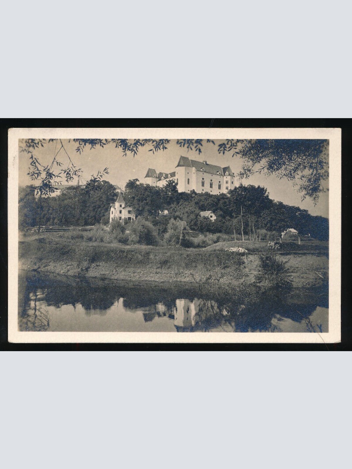 AK aus Wachau mit Schloss Grein Oberösterreich (3605)