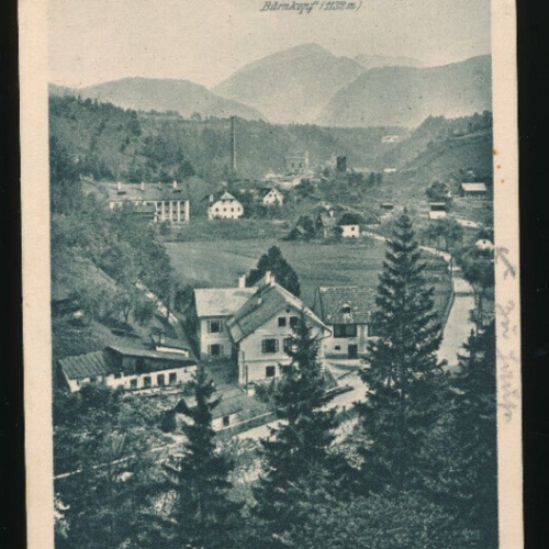 AK aus Bärnkopf Niederösterreich (3594)