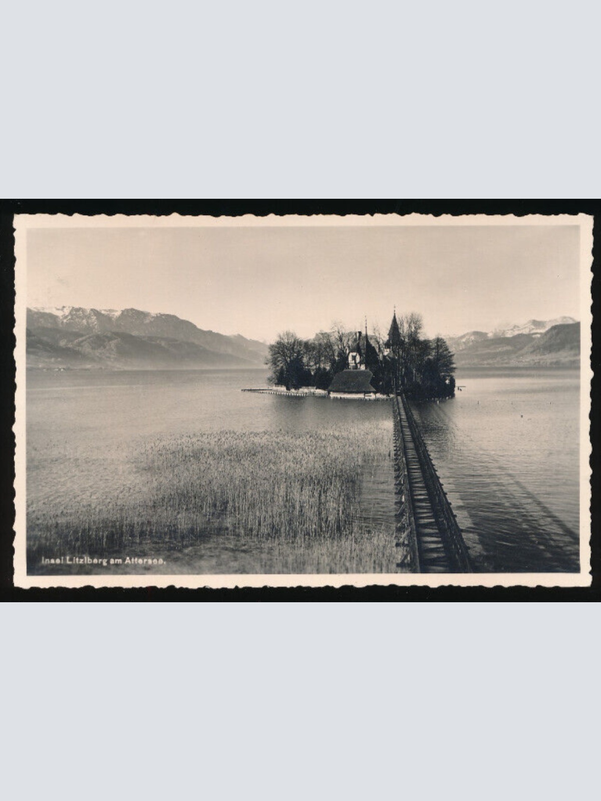 AK aus Seewalchen am Attersee mit Insel Litzlberg Oberösterreich (L3805)