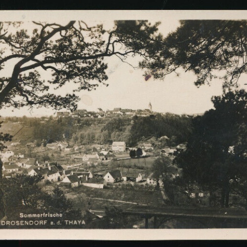 AK aus Drosendorf Niederösterreich (3974)