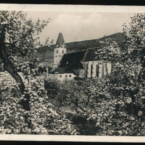 AK aus Spitz an der Donau Niederösterreich (3981)