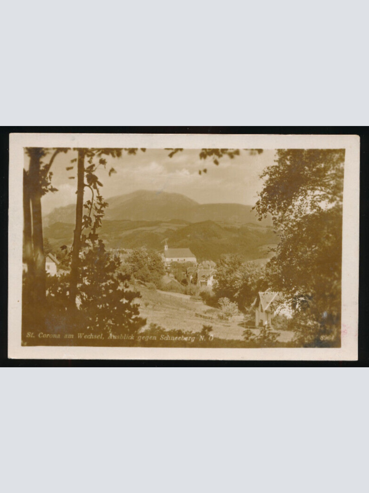 AK aus St.Corona am Wechsel Niederösterreich (3985)