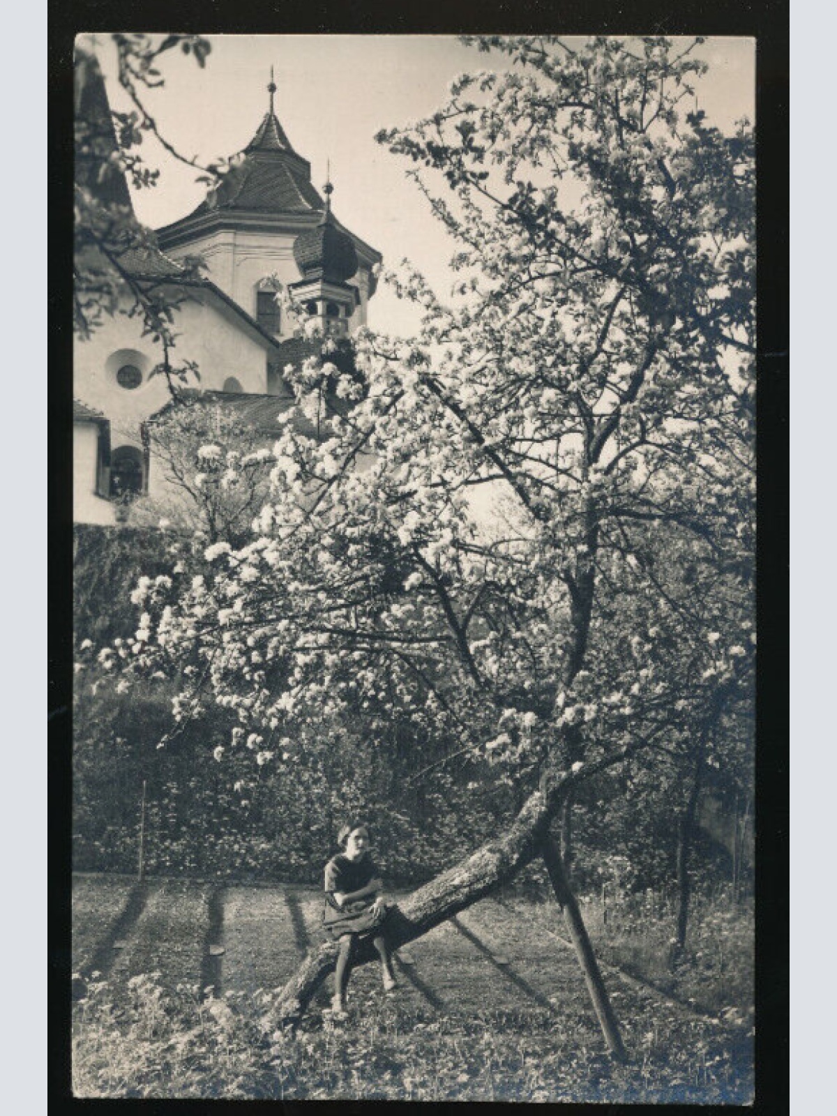 AK aus Traunkirchen Oberösterreich (3924)