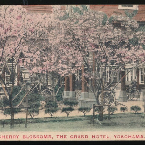AK aus Yokohama Cherry Blossoms The Grand Hotel Yokohama Japan ... (3553)