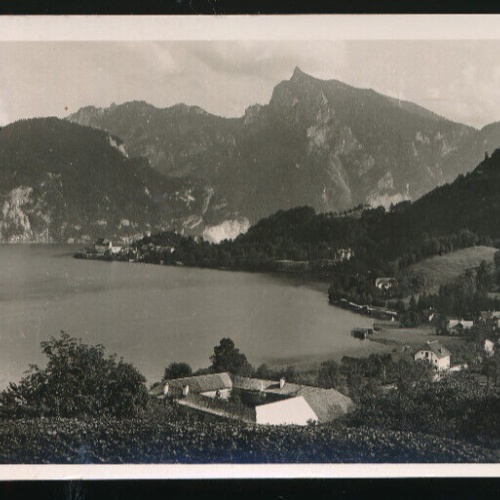 AK aus Traunkirchen Oberösterreich (3690)