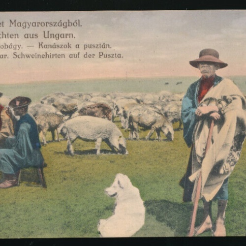 AK Ungarischen Volkstrachten - Nepviselet Kanaszok - Schweinehirte Ungarn (4408)