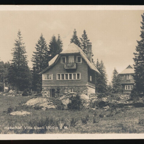 AK aus Feldberg mit Hebelhof Villa Liseli Baden - Württemberg (4643)