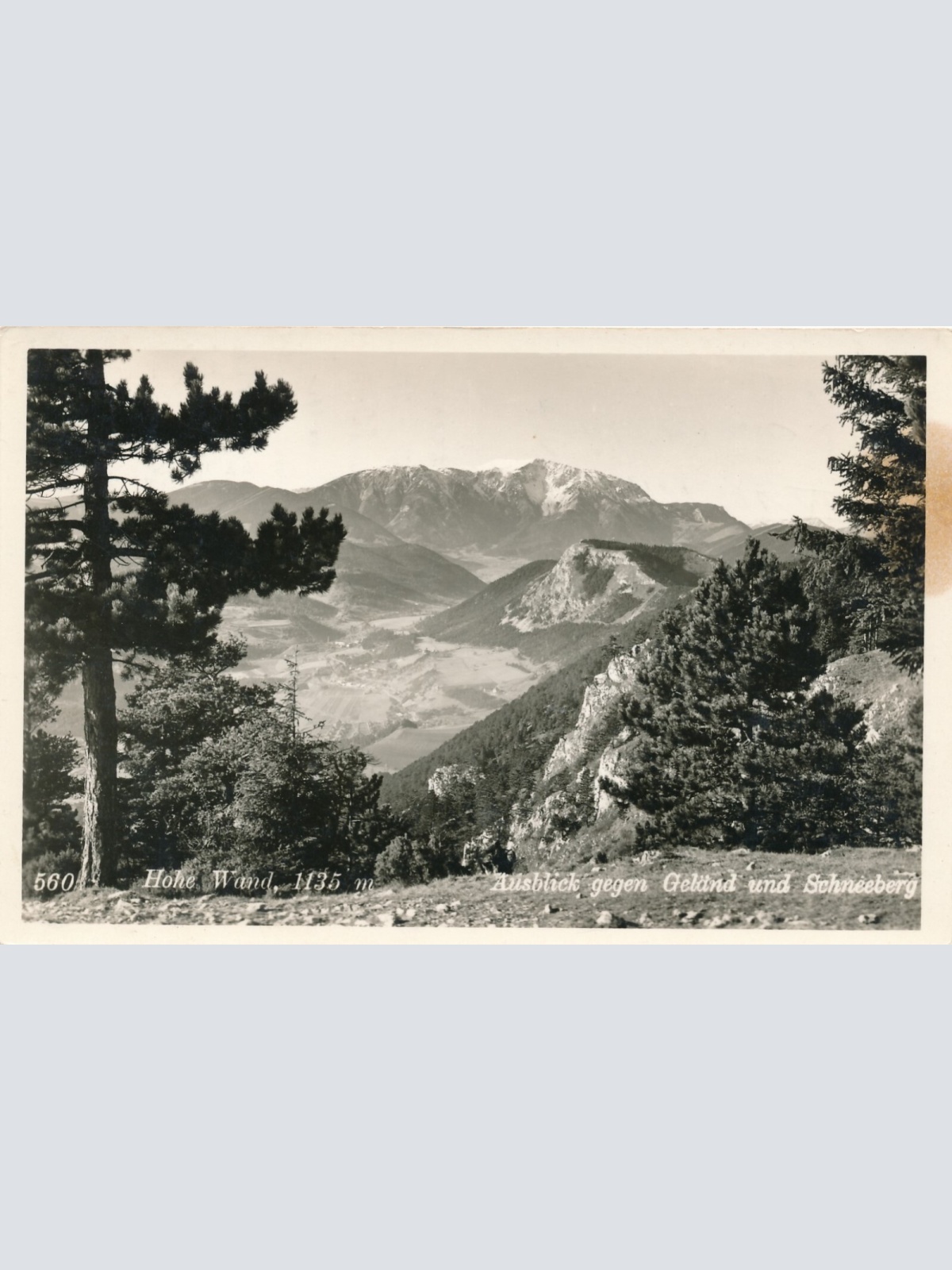 AK, Hohe Wand, Ausblick gegen Geländ und Schneeberg, Niederösterreich (S463)