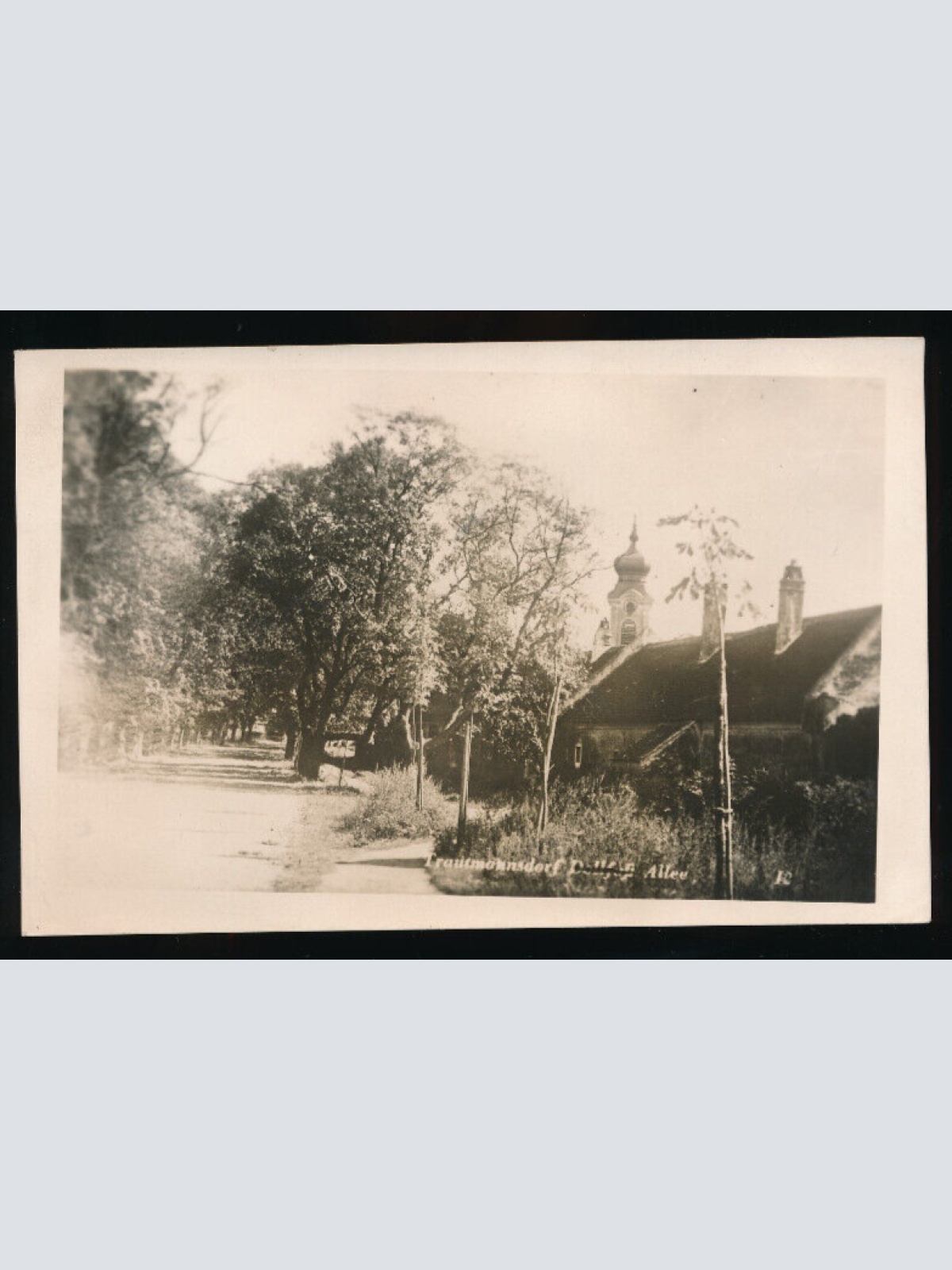 AK aus Trautmansdorf Niederösterreich (4850)