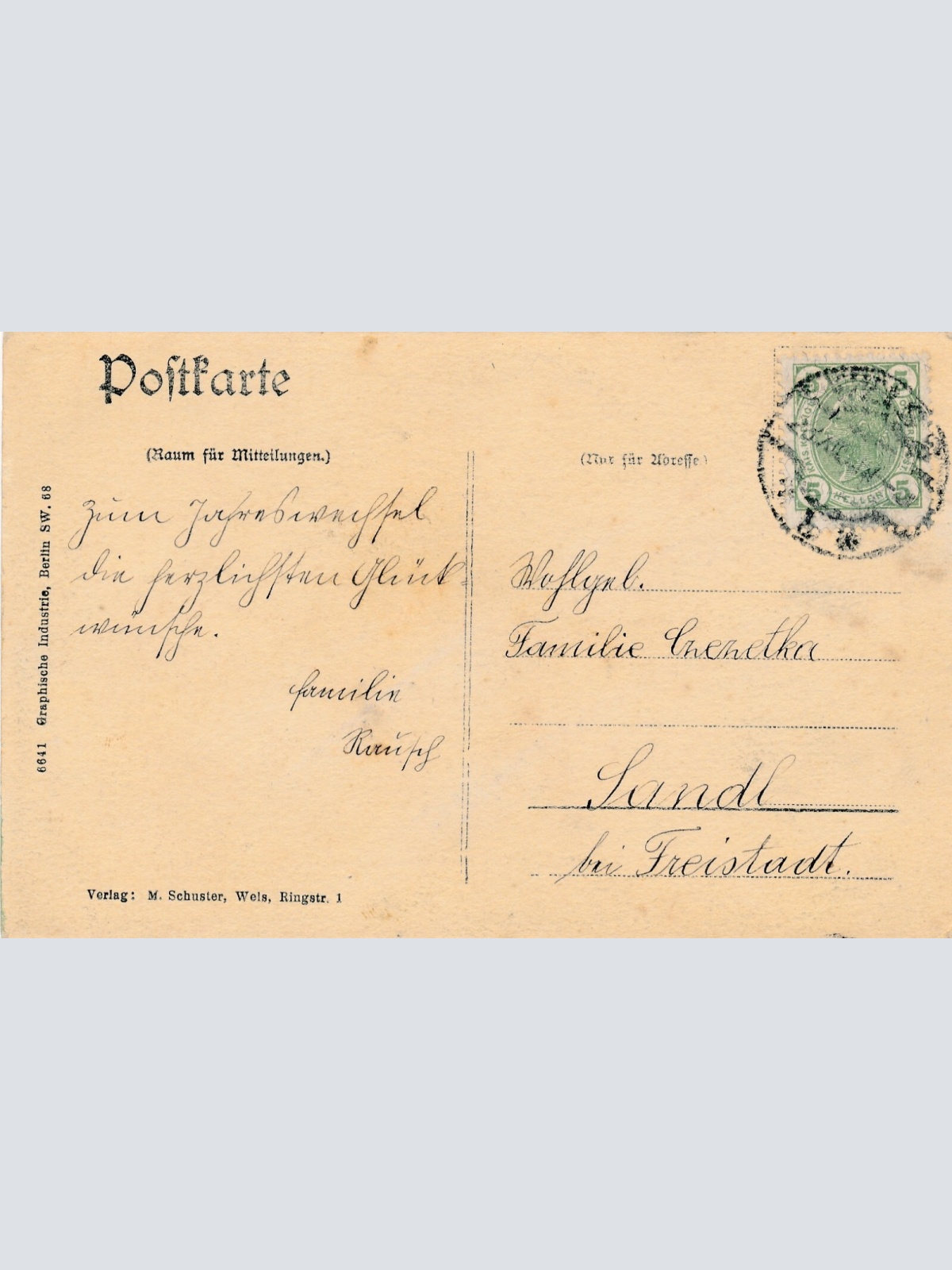 AK, Wels, Totalansicht, Oberösterreich (S584)