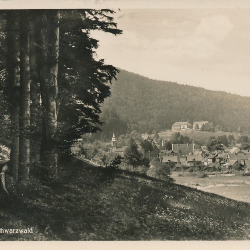 AK, Erholungsheim Grüner Wald, Kurhaus und Hospiz, Herrenalb, Schwarzwald (S541)