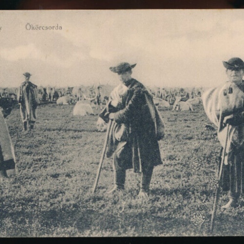 AK aus Hortobagy Ökörcsorda mit Hirten Ungarn (4245)