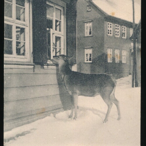 AK Die bettelnde Mieke Deutschland (4523)