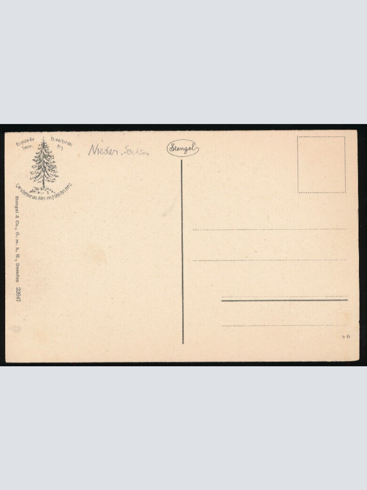 AK aus Bad Grund im Harz Mit Rinder - Kühen auf der Straße Niedersachsen (4520)