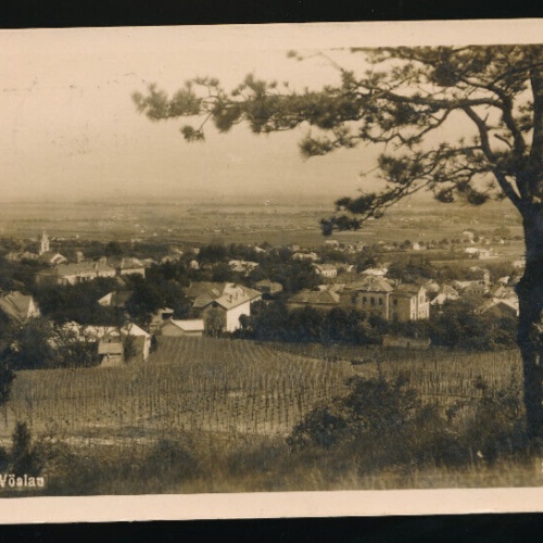 AK aus Vöslau Niederösterreich (5070)