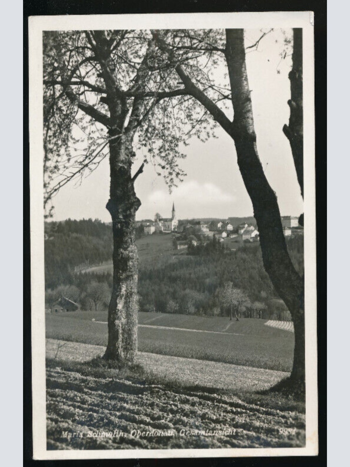 AK aus Maria Schmolln Oberösterreich (4959)