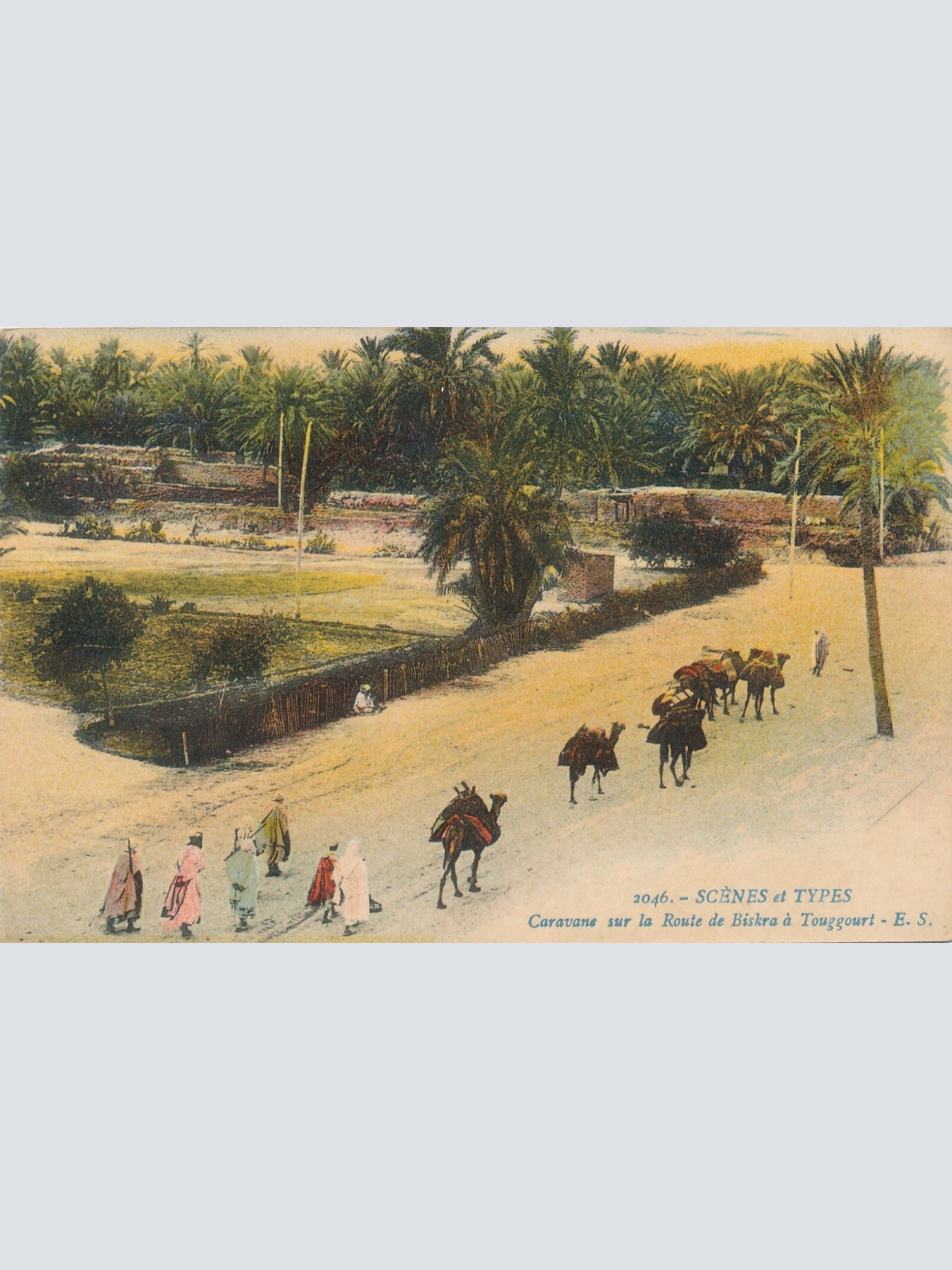 AK, Scenes et Types, Caravane sur la Route de Biskra a Touggourt (S667)