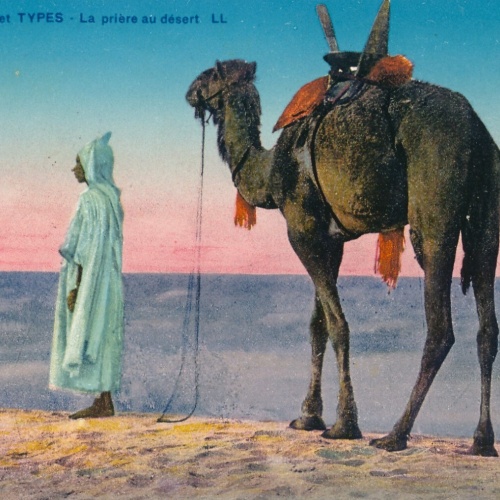 AK, Scenes et Types - La priere au desert (S669)