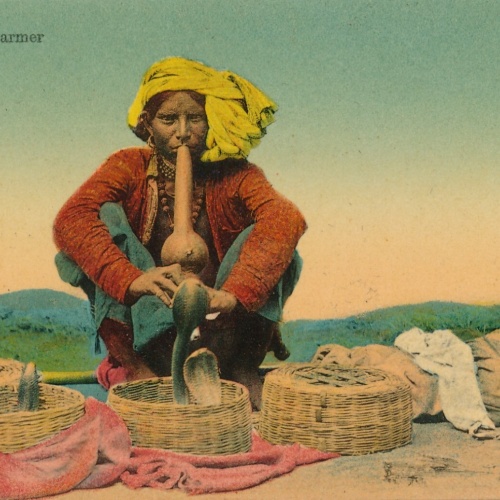 AK, Snake Charmer (S673)