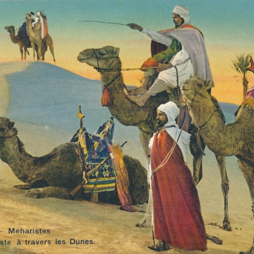 AK, Meharistes, cherchant la piste a travers les Dunes  (S675)