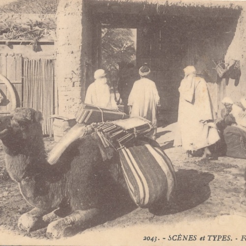 AK, Scenes et Types - Fondouk  (S676)