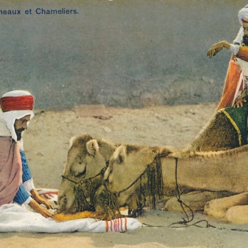 AK, Chameaux et Chameliers (S677)