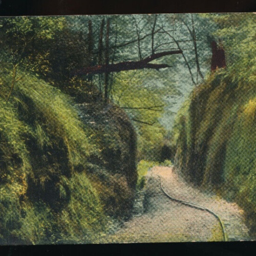 AK aus Eisenach die Landgrafenschlucht Thüringen (5196)
