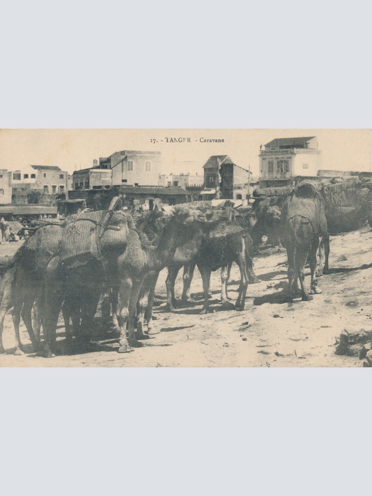 AK aus Tanger Caravane mit Kamelen Maroko (5455)