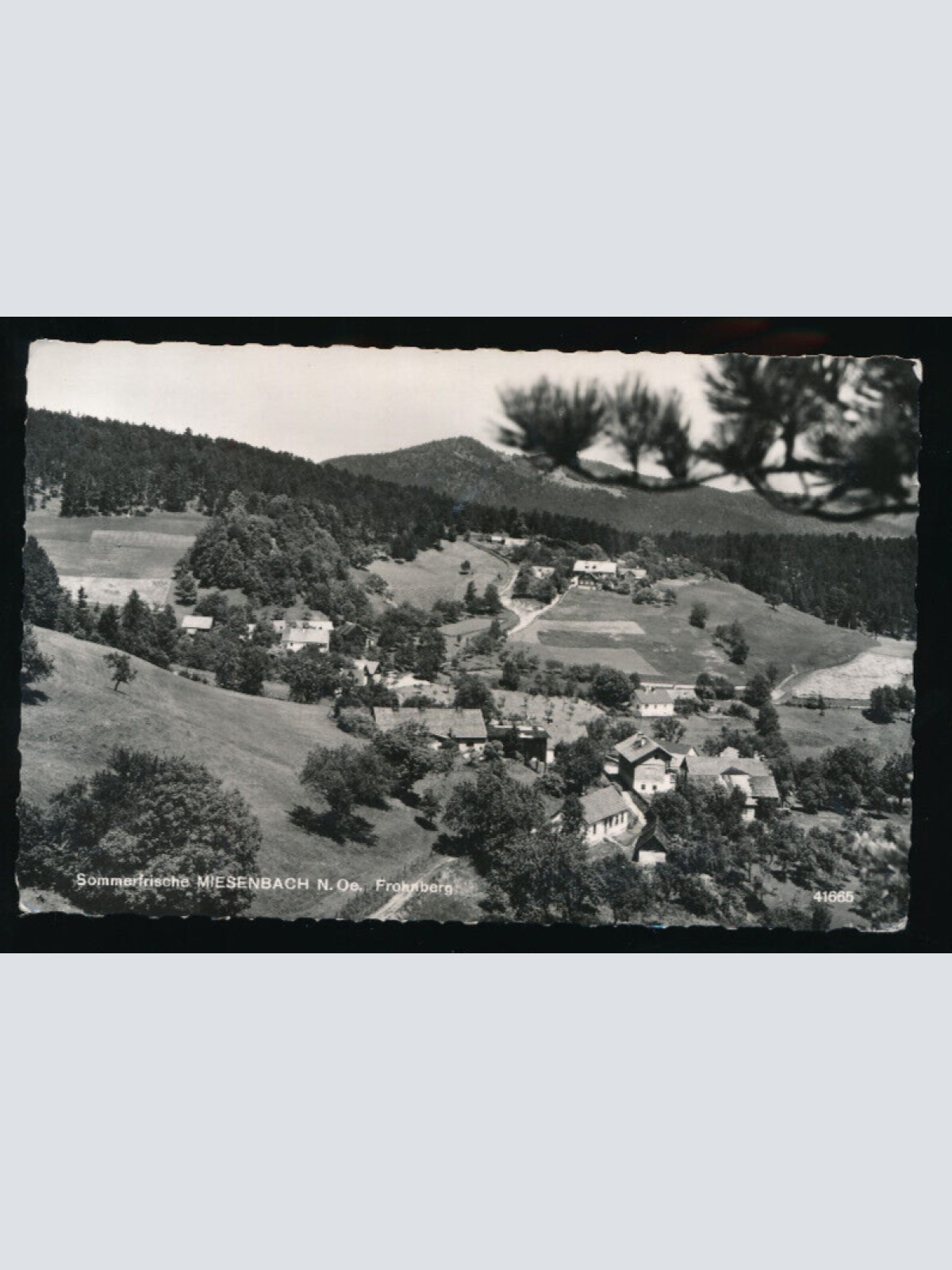 AK aus Miesenbach Niederösterreich (5403)