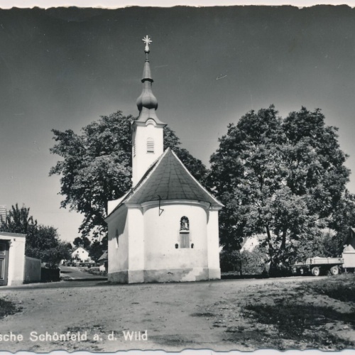 AK, Sommerfrische Schönfeld an der Wild, Niederösterreich (S1105)