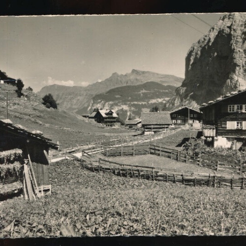 AK im Gimmelwald Schweiz (5276)