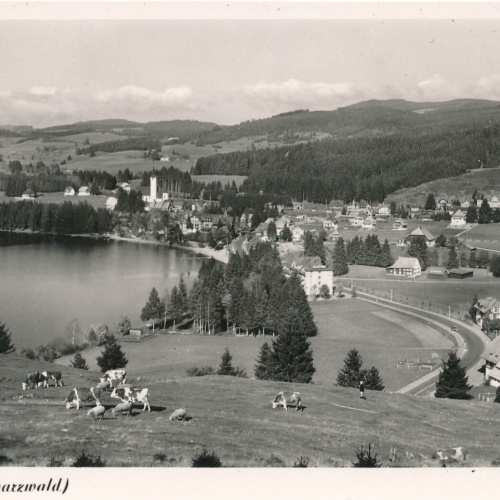AK, Titisee, Schwarzwald, Baden-Württemberg (S1100)
