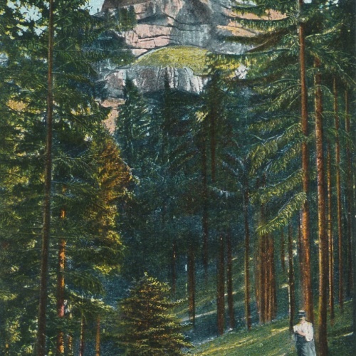 AK, Riesengebirge, der Kynast vom Höllengrunde, Polen (S1490)