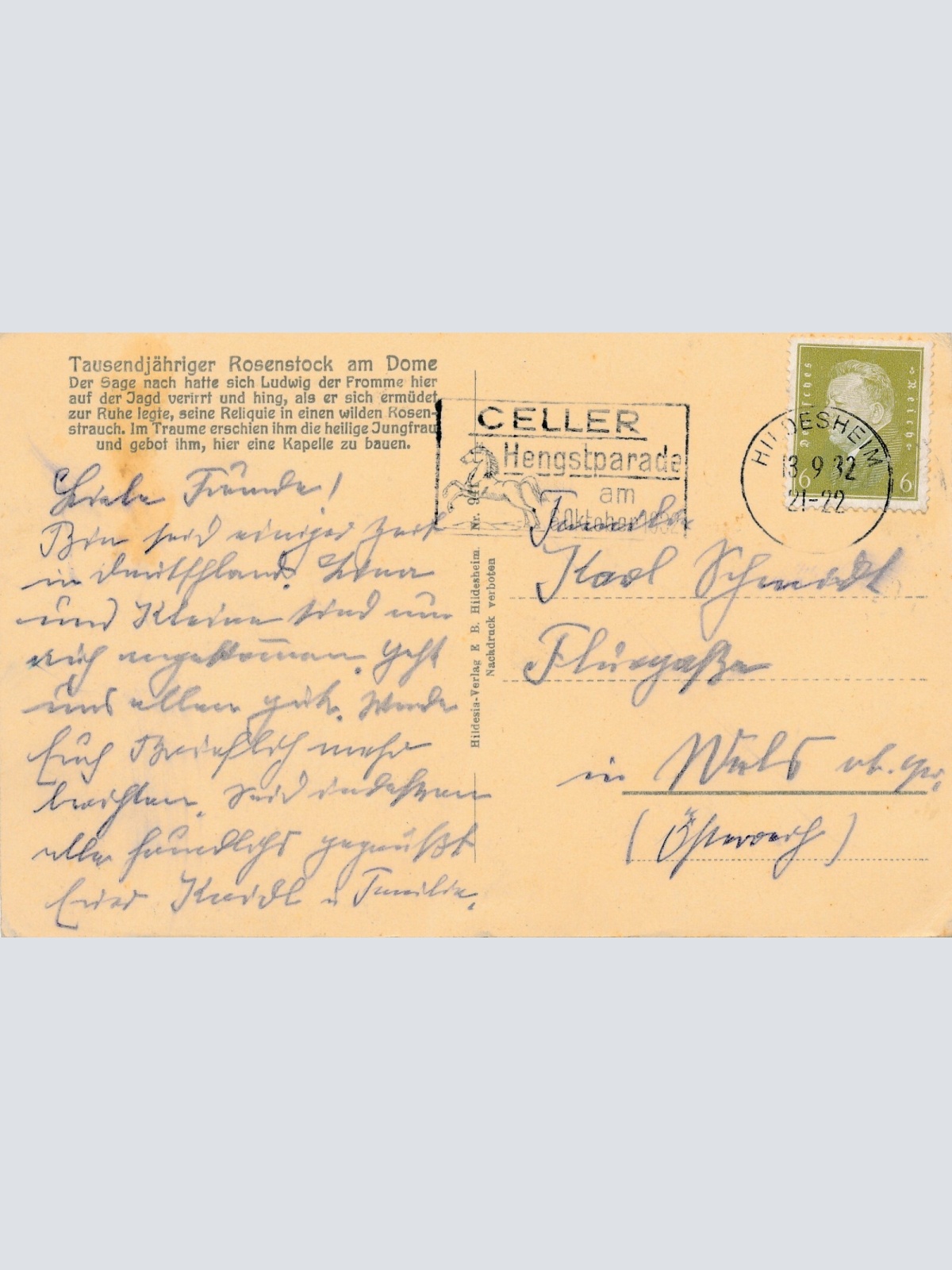 AK, Hildesheim, 1000 jähriger Rosenstock, Niedersachsen  (S1261)