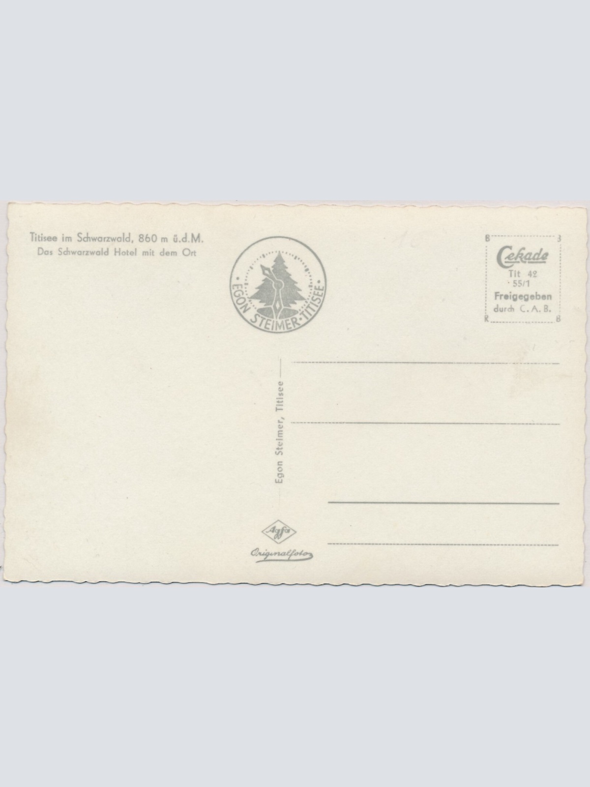 AK, Titisee im Schwarzwald, Das Schwarzwald Hotel mit dem Ort (S1341)