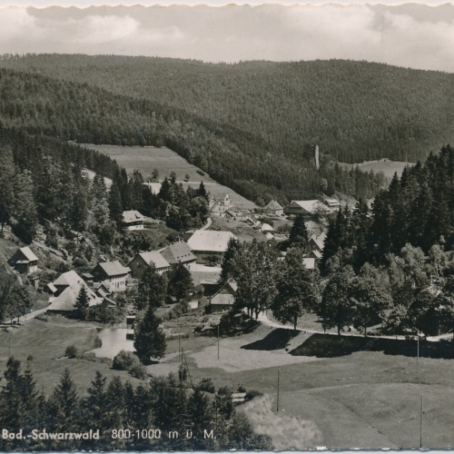 AK, Hammereisenbach, Bad.-Schwarzwald, Baden-Württemberg (S1592)